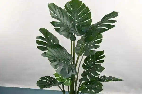 What height options for wholesale artificial potted monstera